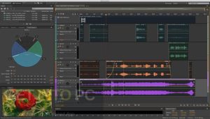 adobe audition cc trial download