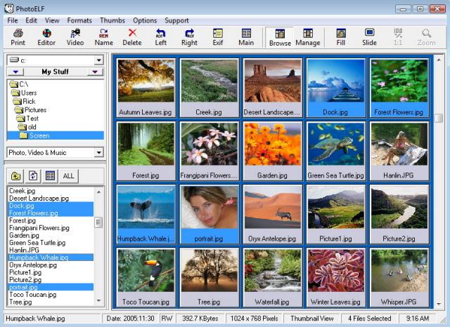 PhotoELF-Photo-Editor-Offline-Installer-Download_1