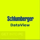 Schlumberger-Dataview-Free-Download