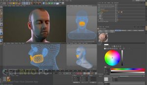 arnold for cinema 4d r19 free download