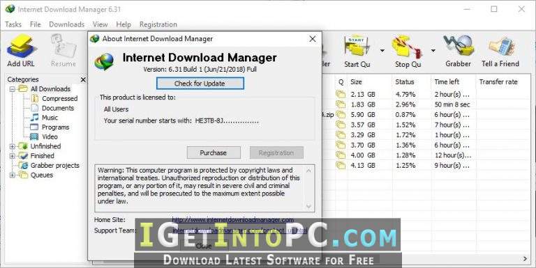 Internet Download Manager 6.31 Build 2 IDM Free Download