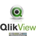 QlikView-Server-Edition-11.20-x64-Free-Download