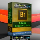 bridge cc 2014 download