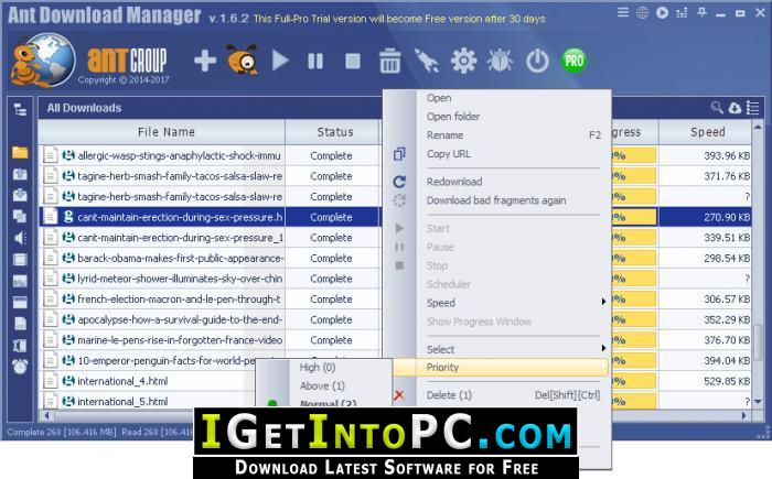 Ant Download Manager Pro 2.10.3.86204 for mac download