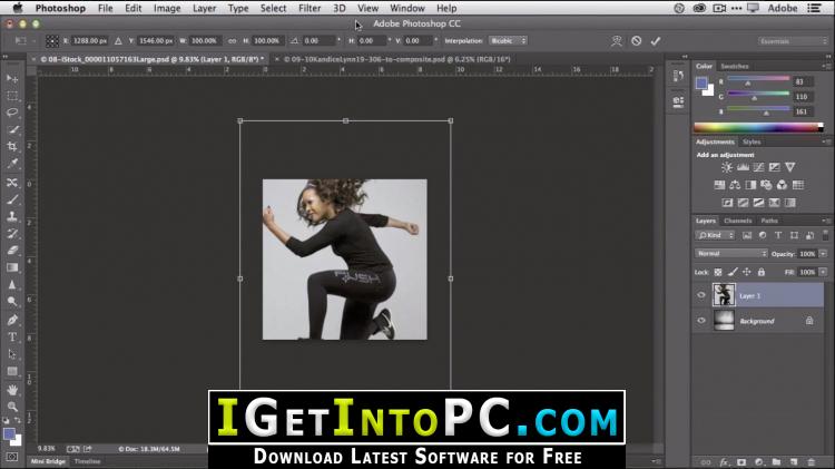 adobe photoshop download free torrent