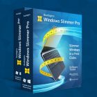 Auslogics Windows Slimmer Professional 2 Free Download