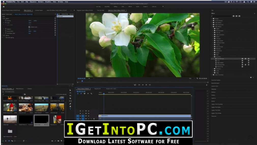 adobe premiere pro cc 2020 file size