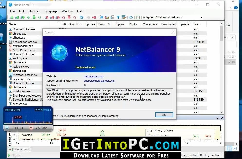 free NetBalancer 12.0.1.3507