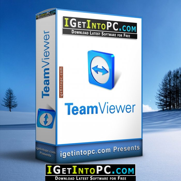 team viewer online web