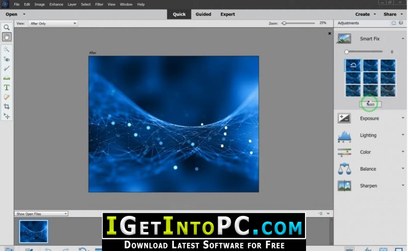 photoshop elements 2021 & premiere elements 2021