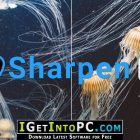 Topaz Sharpen AI 2.1.5 Free Download