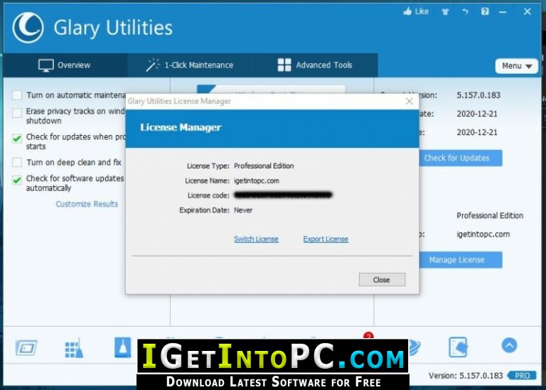 Glary Utilities Pro 5.208.0.237 download the new version