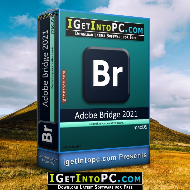 adobe bridge 2021 free download