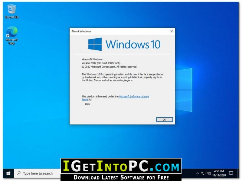 windows 10 20h2 pro download