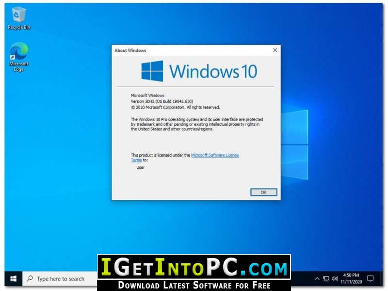 download windows 10 pro 20h2