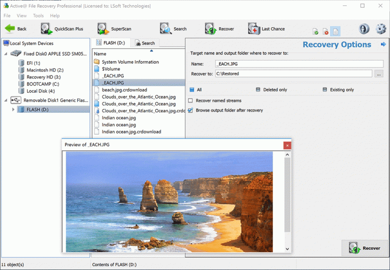 active file recovery software download