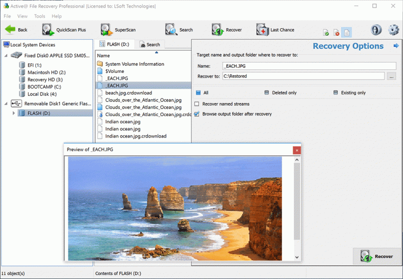 Active File Recovery 21 Free Download