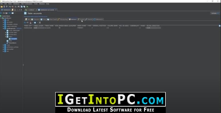Linux Procedure File DbVisualizer Pro 25 Free Download